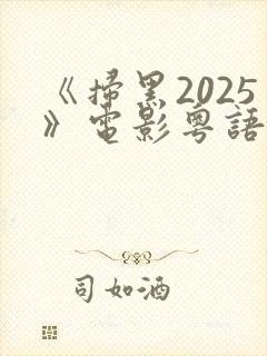 《扫黑2025》电影粤语在线观看