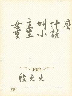 女主叫什么婉的重生小说