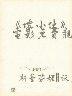 《坏小伙》美国电影免费观看封面