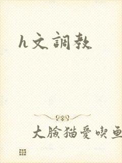 h文调教