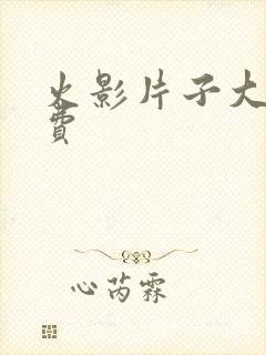 火影片子大全免费