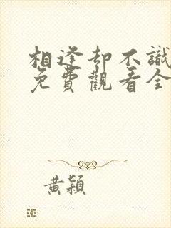 相逢却不识短剧免费观看全集