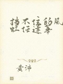 挡不住的风情翁虹任达华