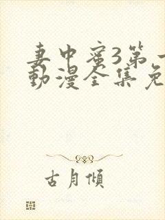 妻中蜜3第一季动漫全集免费观看封面