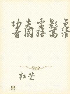 功夫电影免费观看国语高清封面