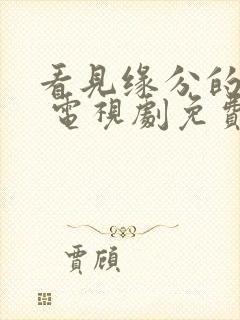 看见缘分的少女 电视剧免费观看