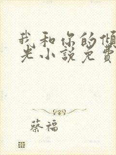 我和你的倾城时光小说免费阅读封面