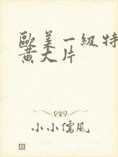 欧美一级特aa黄大片