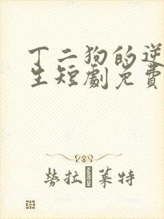 丁二狗的逆袭人生短剧免费封面