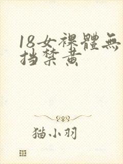 18女裸体无遮挡禁黄封面
