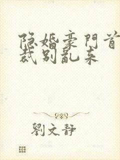 隐婚豪门首席总裁别乱来