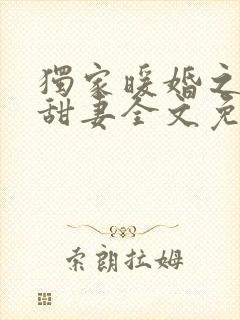 独家暖婚之娇宠甜妻全文免费