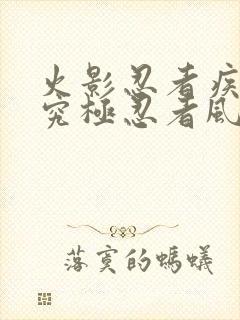 火影忍者疾风传究极忍者风暴