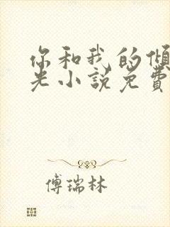 你和我的倾城时光小说免费阅读封面