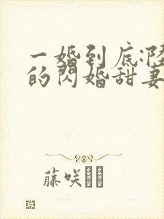 一婚到底:陆少的闪婚甜妻