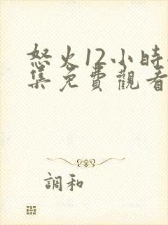 怒火12小时全集免费观看完整版高清