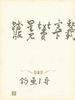 踏星txt完整版免费下载