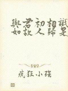 与君初相识,犹如故人归是情话吗封面