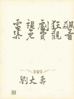 电视剧狂飙40集免费观看封面