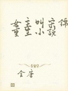 女主叫宋锦瑜的重生小说封面