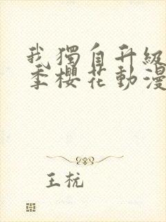 我独自升级第二季樱花动漫封面