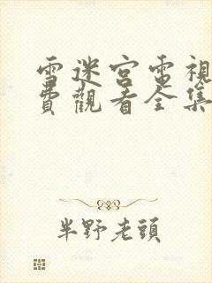 雪迷宫电视剧免费观看全集高清悟空