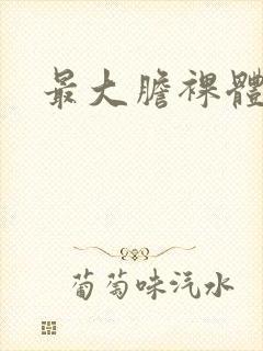 最大胆裸体艺术