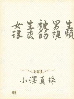 女生被男生操的很爽的视频