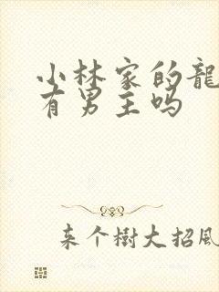 小林家的龙女仆有男主吗