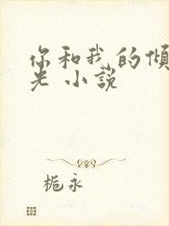 你和我的倾城时光 小说