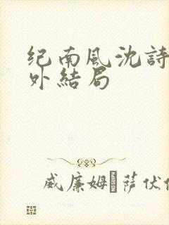 纪南风沈诗澜番外结局