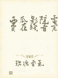 西瓜影院电影免费在线看完整版