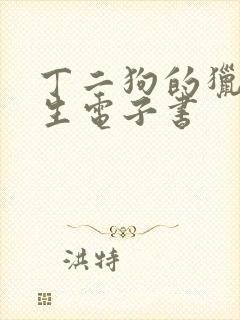 丁二狗的猎艳人生电子书