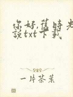 你好,旧时光小说txt下载