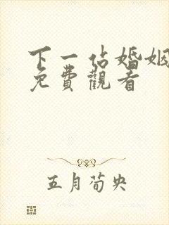 下一站婚姻34免费观看封面