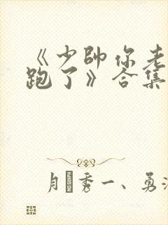 《少帅你老婆又跑了》合集