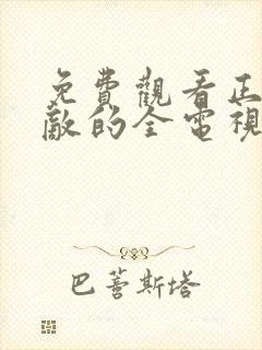 免费观看正者无敌的全电视剧全集封面