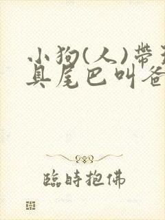 小狗(人)带玩具尾巴叫爸爸笔趣阁封面