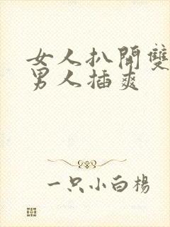 女人扒开双腿让男人插爽封面