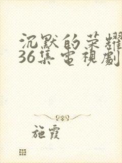 沉默的荣耀1—36集电视剧在线观看