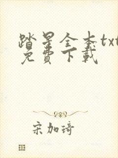 踏星全本txt免费下载封面