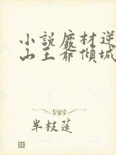 小说废材逆袭冰山王爷倾城妃