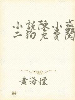 小说陈小燕,牛二狗免费阅读封面