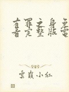 有罪之身免费观看完整版电视剧高清下载封面