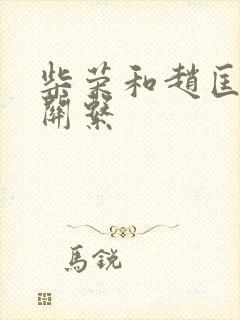 柴荣和赵匡胤的关系