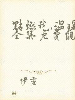 点燃我,温暖你全集免费观看完整版