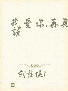 我爱你,再见小说