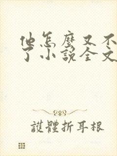 他怎么又不是人了小说全文免费阅读封面