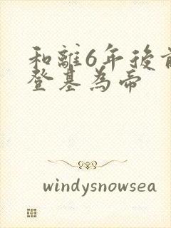 和离6年后前夫登基为帝