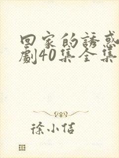 回家的诱惑电视剧40集全集免费